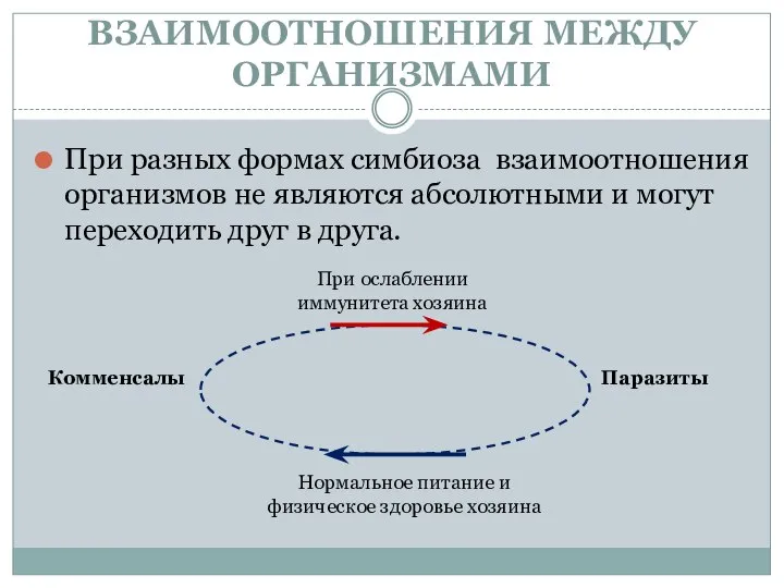 ВЗАИМООТНОШЕНИЯ МЕЖДУ ОРГАНИЗМАМИ При разных формах симбиоза взаимоотношения организмов не являются