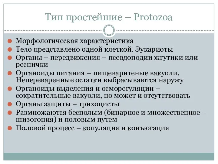 Тип простейшие – Рrotozoa Морфологическая характеристика Тело представлено одной клеткой. Эукариоты