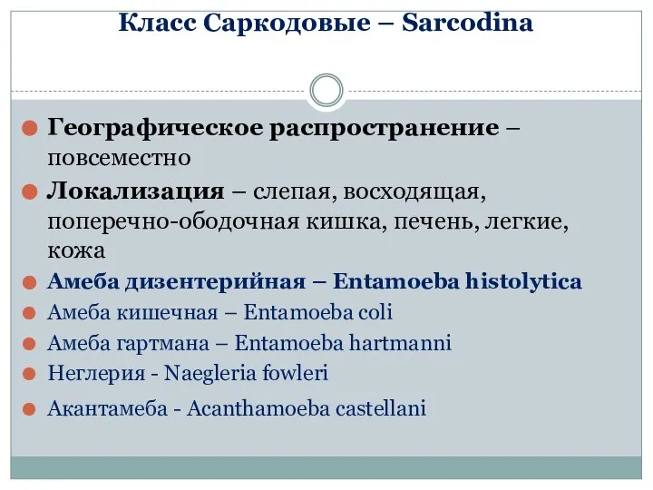 Класс Саркодовые – Sarcodina Географическое распространение – повсеместно Локализация – слепая,