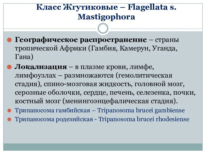 Класс Жгутиковые – Flagellata s. Mastigophora Географическое распространение – страны тропической