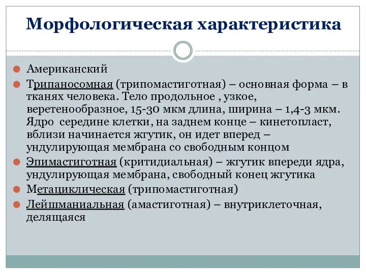 Морфологическая характеристика Американский Трипаносомная (трипомастиготная) – основная форма – в тканях