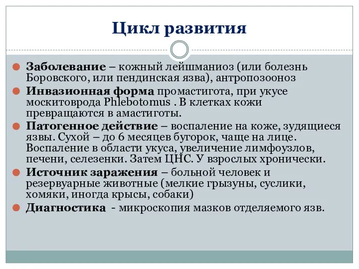 Цикл развития Заболевание – кожный лейшманиоз (или болезнь Боровского, или пендинская