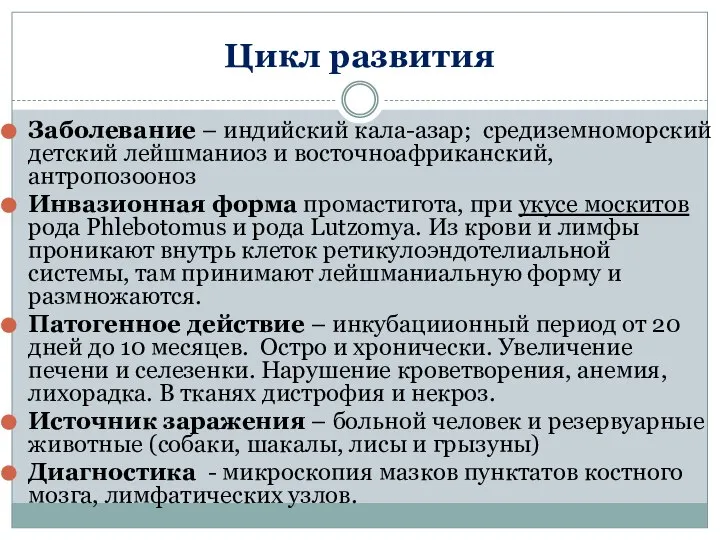 Цикл развития Заболевание – индийский кала-азар; средиземноморский детский лейшманиоз и восточноафриканский,