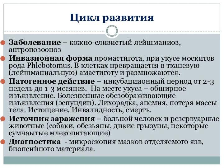 Цикл развития Заболевание – кожно-слизистый лейшманиоз, антропозооноз Инвазионная форма промастигота, при