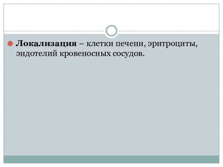 Локализация – клетки печени, эритроциты, эндотелий кровеносных сосудов.