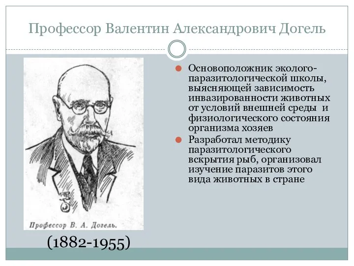 Профессор Валентин Александрович Догель Основоположник эколого-паразитологической школы, выясняющей зависимость инвазированности животных