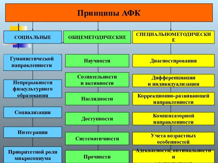 Принципы АФК СОЦИАЛЬНЫЕ ОБЩЕМЕТОДИЧЕСКИЕ СПЕЦИАЛЬНОМЕТОДИЧЕСКИЕ Непрерывности физкультурного образования Социализации Приоритетной роли