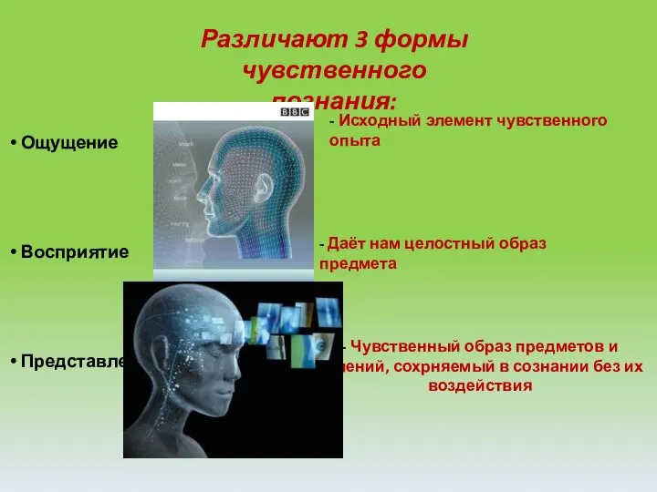 Различают 3 формы чувственного познания: Ощущение Восприятие Представление - Исходный элемент