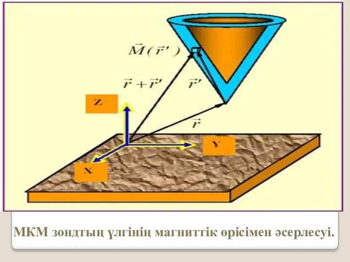 МКМ зондтың үлгінің магниттік өрісімен әсерлесуі.