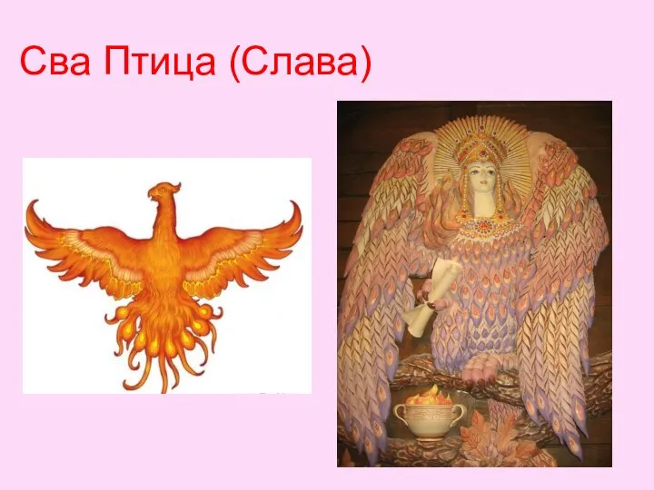 Сва Птица (Слава)