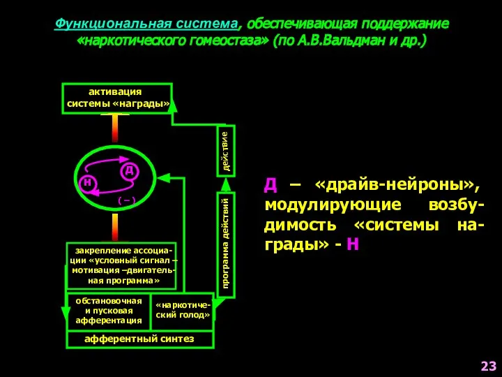 Функциональная система, обеспечивающая поддержание «наркотического гомеостаза» (по А.В.Вальдман и др.) д