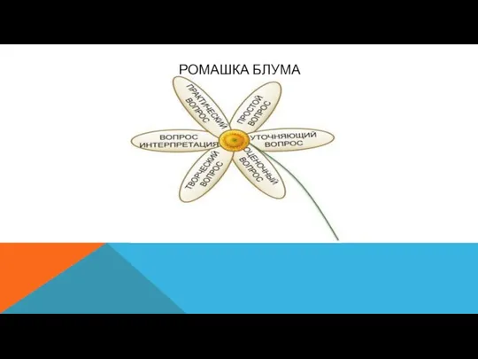 РОМАШКА БЛУМА