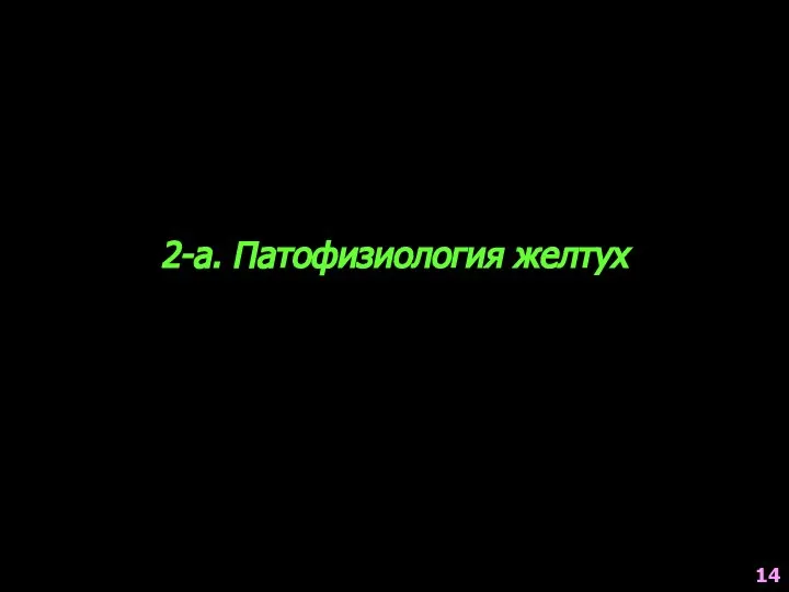 2-а. Патофизиология желтух 14