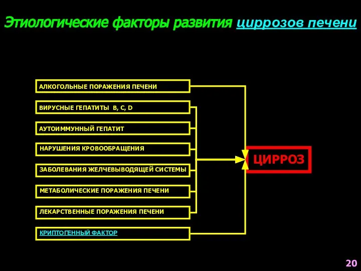 Этиологические факторы развития циррозов печени АЛКОГОЛЬНЫЕ ПОРАЖЕНИЯ ПЕЧЕНИ ВИРУСНЫЕ ГЕПАТИТЫ B,