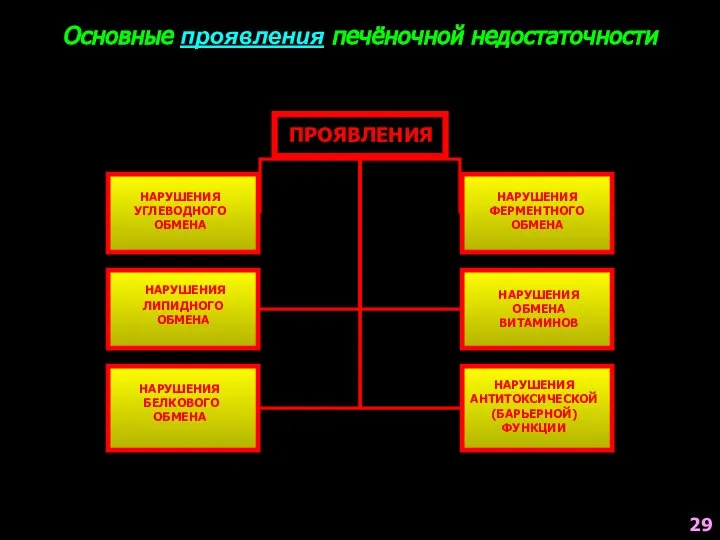 Основные проявления печёночной недостаточности ПРОЯВЛЕНИЯ НАРУШЕНИЯ УГЛЕВОДНОГО ОБМЕНА НАРУШЕНИЯ ЛИПИДНОГО ОБМЕНА