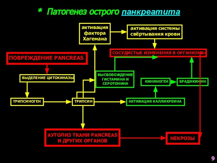 * Патогенез острого панкреатита ПОВРЕЖДЕНИЕ PANCREAS ВЫДЕЛЕНИЕ ЦИТОКИНАЗЫ ТРИПСИНОГЕН ТРИПСИН АУТОЛИЗ