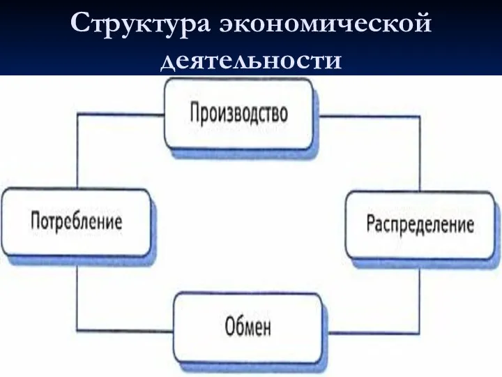 Структура экономической деятельности