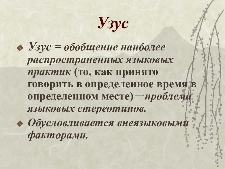 Узус Узус = обобщение наиболее распространенных языковых практик (то, как принято