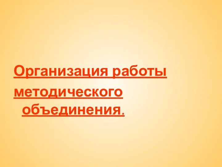 Организация работы методического объединения.