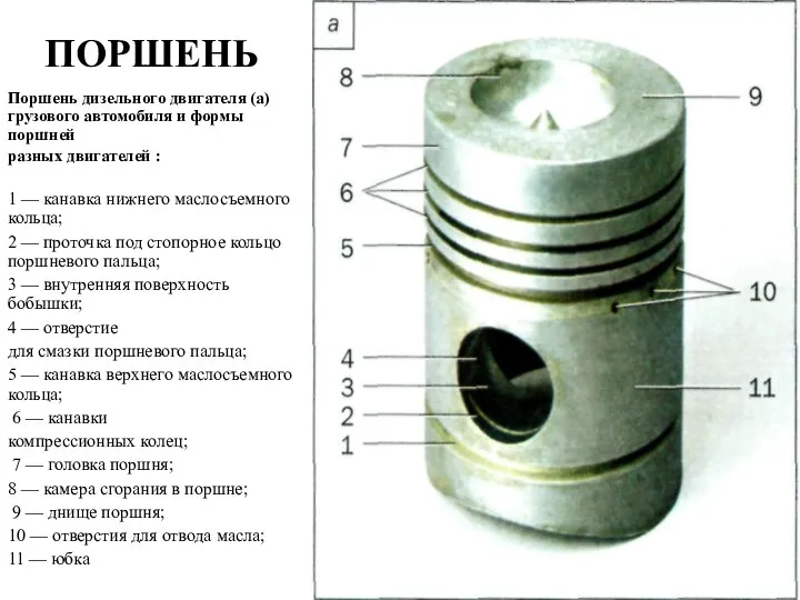 ПОРШЕНЬ Поршень дизельного двигателя (а) грузового автомобиля и формы поршней разных