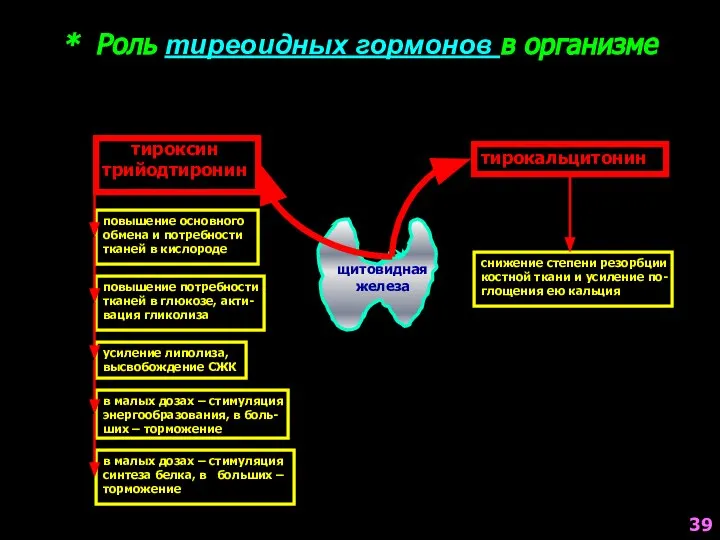 * Роль тиреоидных гормонов в организме тироксин трийодтиронин тирокальцитонин повышение основного