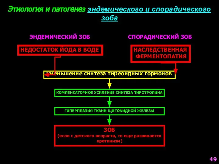 Этиология и патогенез эндемического и спорадического зоба ЭНДЕМИЧЕСКИЙ ЗОБ СПОРАДИЧЕСКИЙ ЗОБ