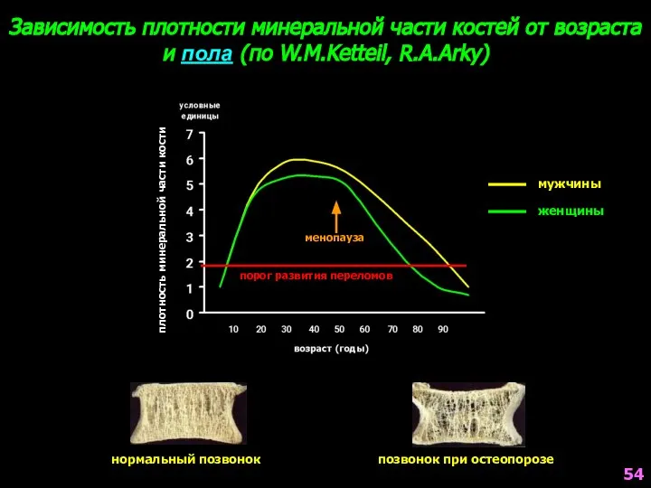 плотность минеральной части кости мужчины женщины Зависимость плотности минеральной части костей