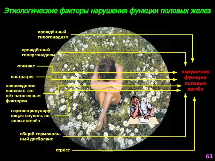 Этиологические факторы нарушения функции половых желез врождённый гипогонадизм врождённый гипергонадизм климакс