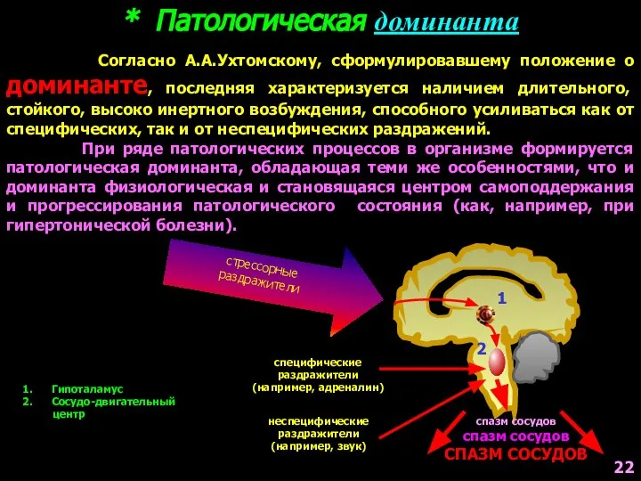 * Патологическая доминанта Согласно А.А.Ухтомскому, сформулировавшему положение о доминанте, последняя характеризуется