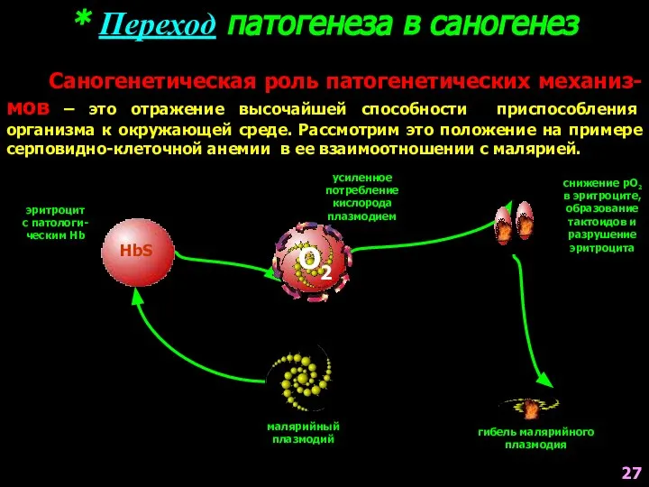 * Переход патогенеза в саногенез Саногенетическая роль патогенетических механиз-мов – это
