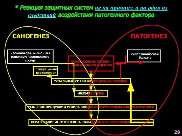 ВОЗБУЖДЕНИЕ СОСУДО – ДВИГАТЕЛЬНОГО ЦЕНТРА ТОТАЛЬНЫЙ СПАЗМ КРОВЕНОСНЫХ СОСУДОВ ИШЕМИЯ ПОЧЕК