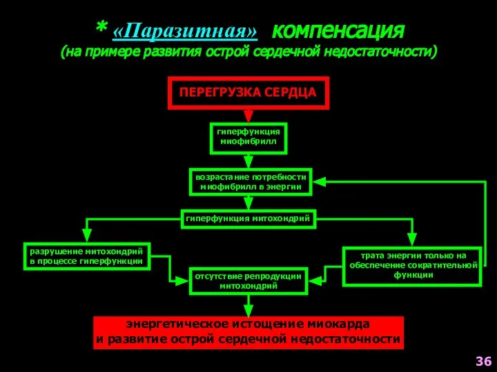 * «Паразитная» компенсация (на примере развития острой сердечной недостаточности) ПЕРЕГРУЗКА СЕРДЦА