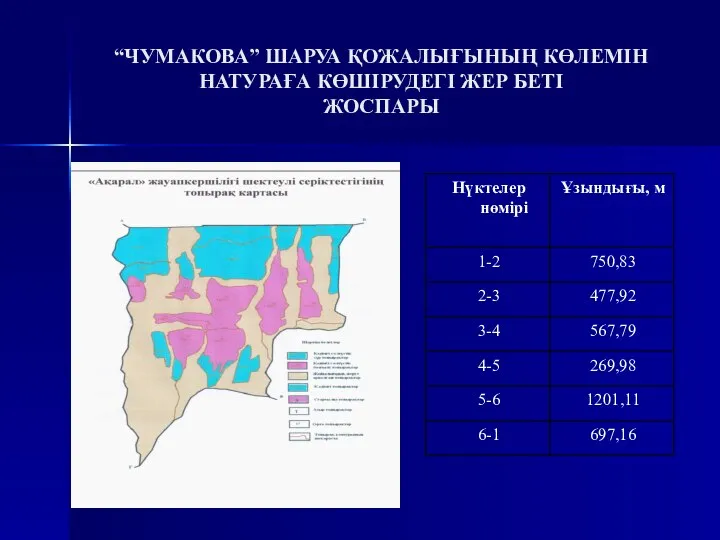 “ЧУМАКОВА” ШАРУА ҚОЖАЛЫҒЫНЫҢ КӨЛЕМІН НАТУРАҒА КӨШІРУДЕГІ ЖЕР БЕТІ ЖОСПАРЫ