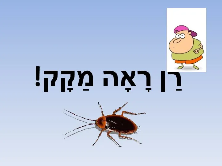 רַן רָאָה מַקָק!