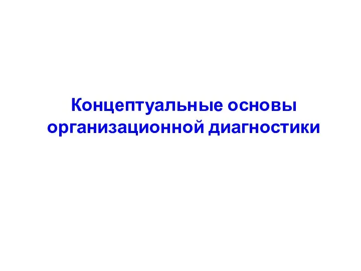 Концептуальные основы организационной диагностики