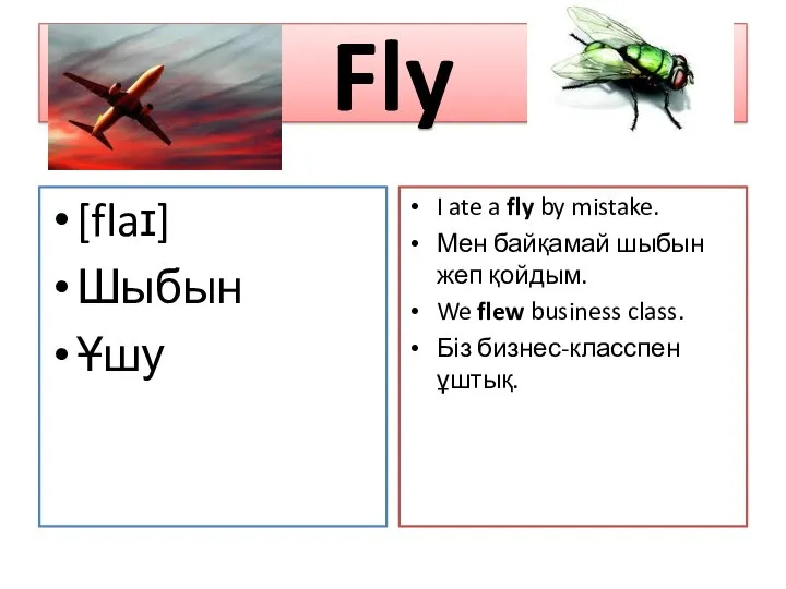 Fly [flaɪ] Шыбын Ұшу I ate a fly by mistake. Мен