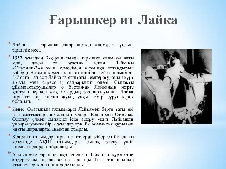 Лайка — ғарышқа сапар шеккен әлемдегі тұңғыш тіршілік иесі. 1957 жылдың