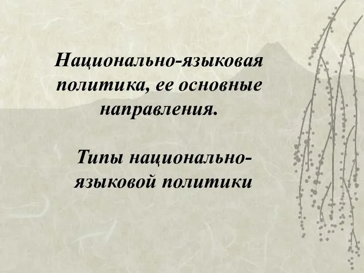 Национально-языковая политика, ее основные направления. Типы национально-языковой политики