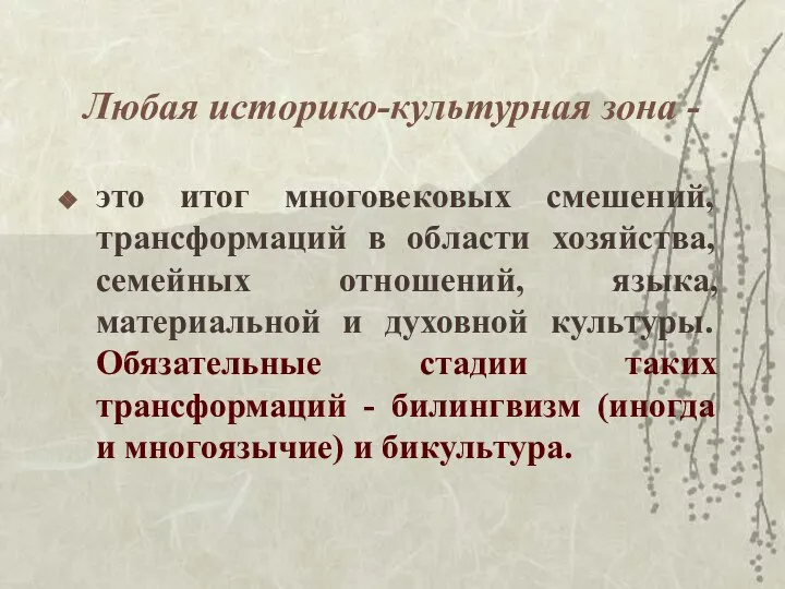 Любая историко-культурная зона - это итог многовековых смешений, трансформаций в области