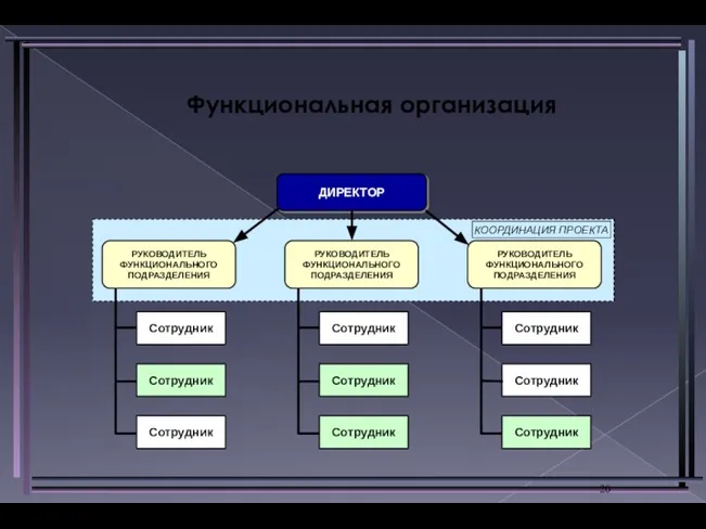 Функциональная организация