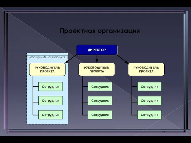 Проектная организация