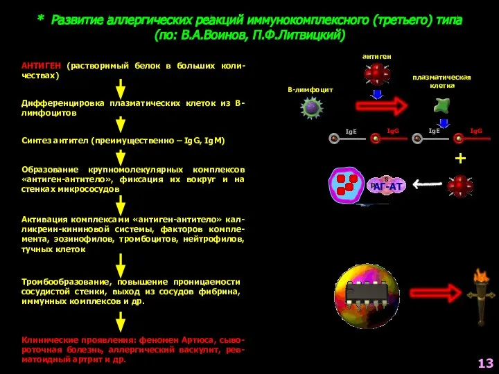 * Развитие аллергических реакций иммунокомплексного (третьего) типа (по: В.А.Воинов, П.Ф.Литвицкий) АНТИГЕН