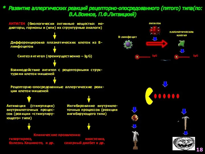 * Развитие аллергических реакций рецепторно-опосредованного (пятого) типа(по: В.А.Воинов, П.Ф.Литвицкий) АНТИГЕН (биологически