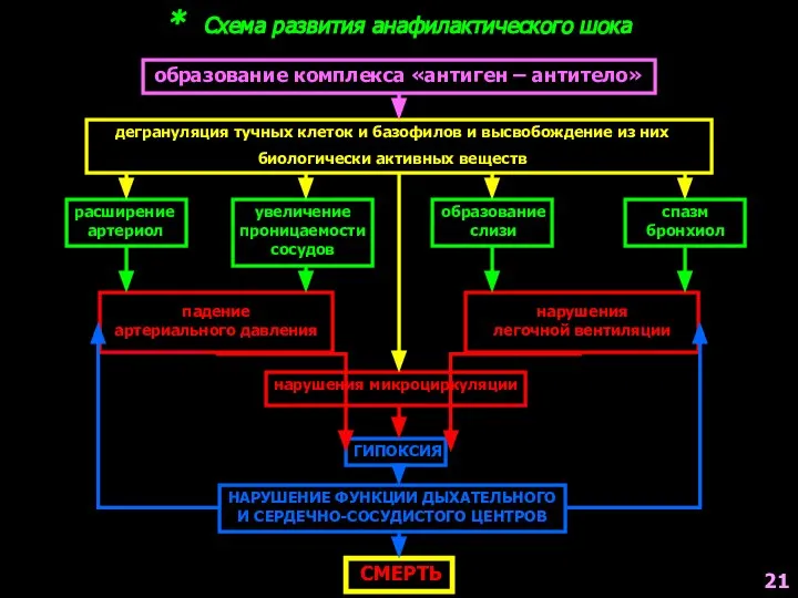 * Схема развития анафилактического шока дегрануляция тучных клеток и базофилов и