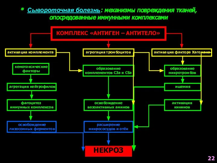 * Сывороточная болезнь: механизмы повреждения тканей, опосредованные иммунными комплексами КОМПЛЕКС «АНТИГЕН