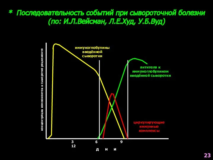 * Последовательность событий при сывороточной болезни (по: И.Л.Вейсман, Л.Е.Худ, У.Б.Вуд) концентрация