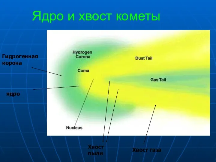 Ядро и хвост кометы Гидрогенная корона Хвост газа Хвост пыли ядро