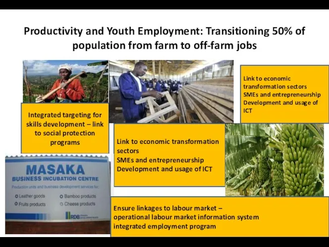 Productivity and Youth Employment: Transitioning 50% of population from farm to