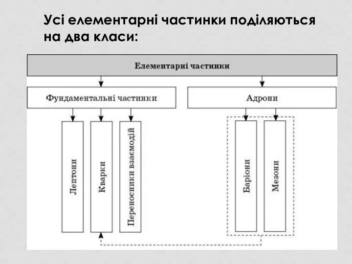 Усі елементарні частинки поділяються на два класи: