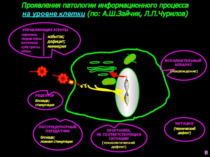 Проявления патологии информационного процесса на уровне клетки (по: А.Ш.Зайчик, Л.П.Чурилов) УПРАВЛЯЮЩИЕ